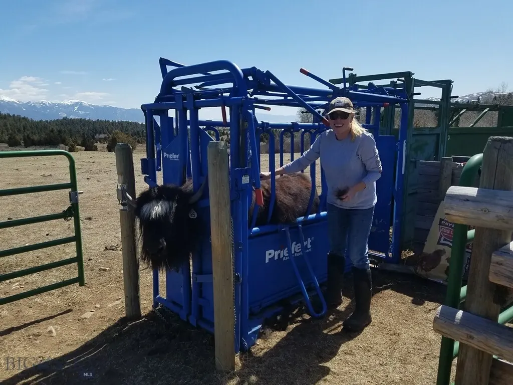 5845 Dry Creek Ranch Road Whitehall MT 59759