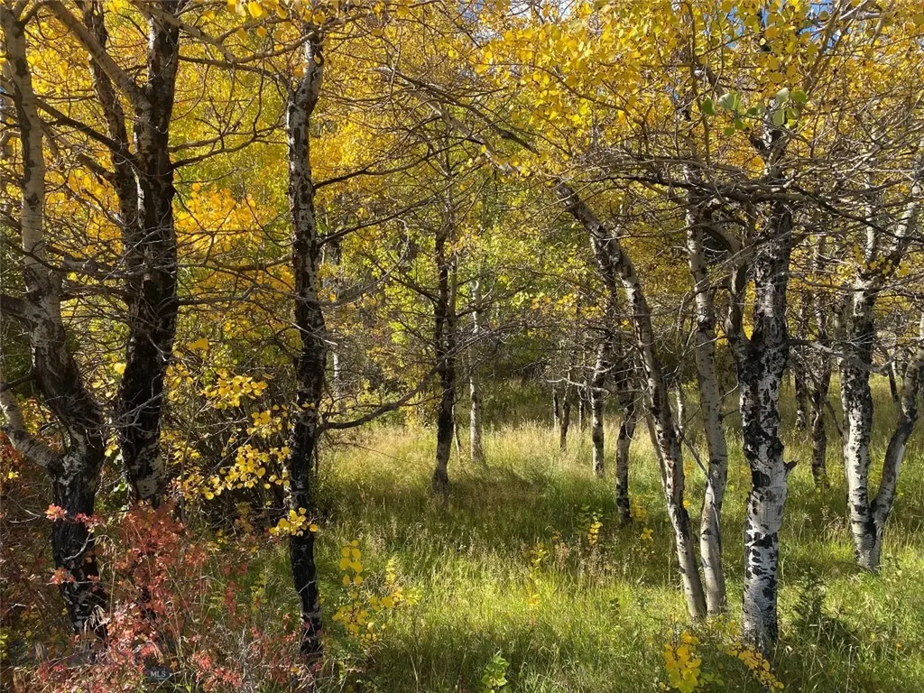 5845 Dry Creek Ranch Road Whitehall MT 59759