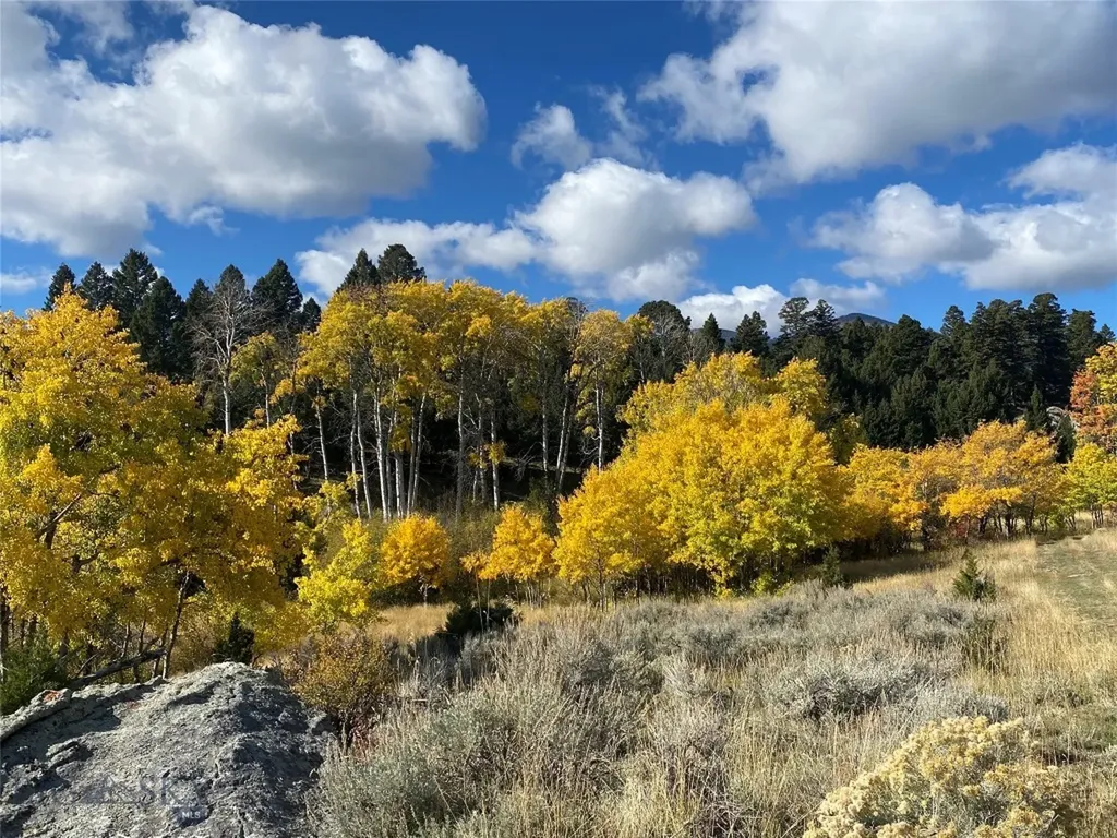 5845 Dry Creek Ranch Road Whitehall MT 59759