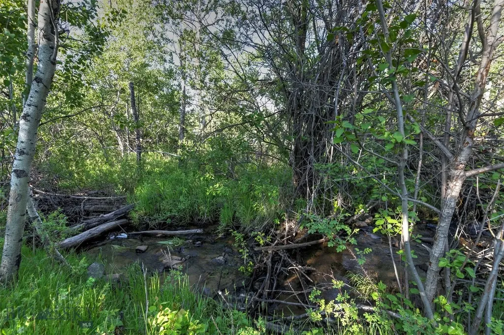 5845 Dry Creek Ranch Road Whitehall MT 59759