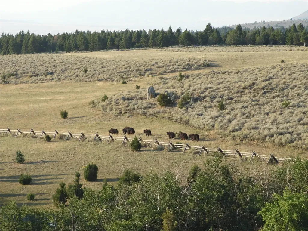 5845 Dry Creek Ranch Road Whitehall MT 59759