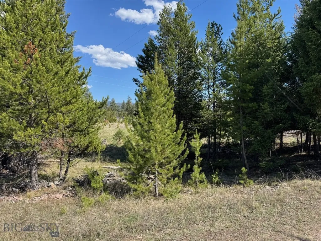 Nhn Pine Drive Seeley Lake MT 59868