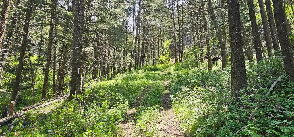 327 Granger Road Cameron MT 59720