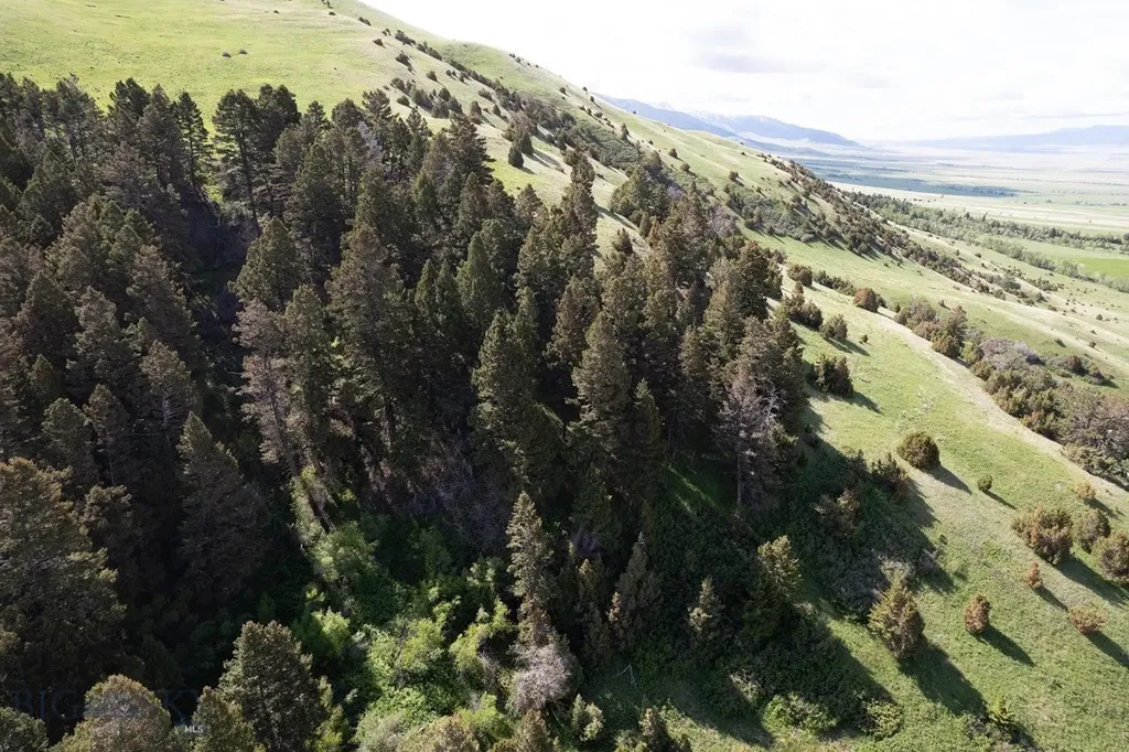 327 Granger Road Cameron MT 59720