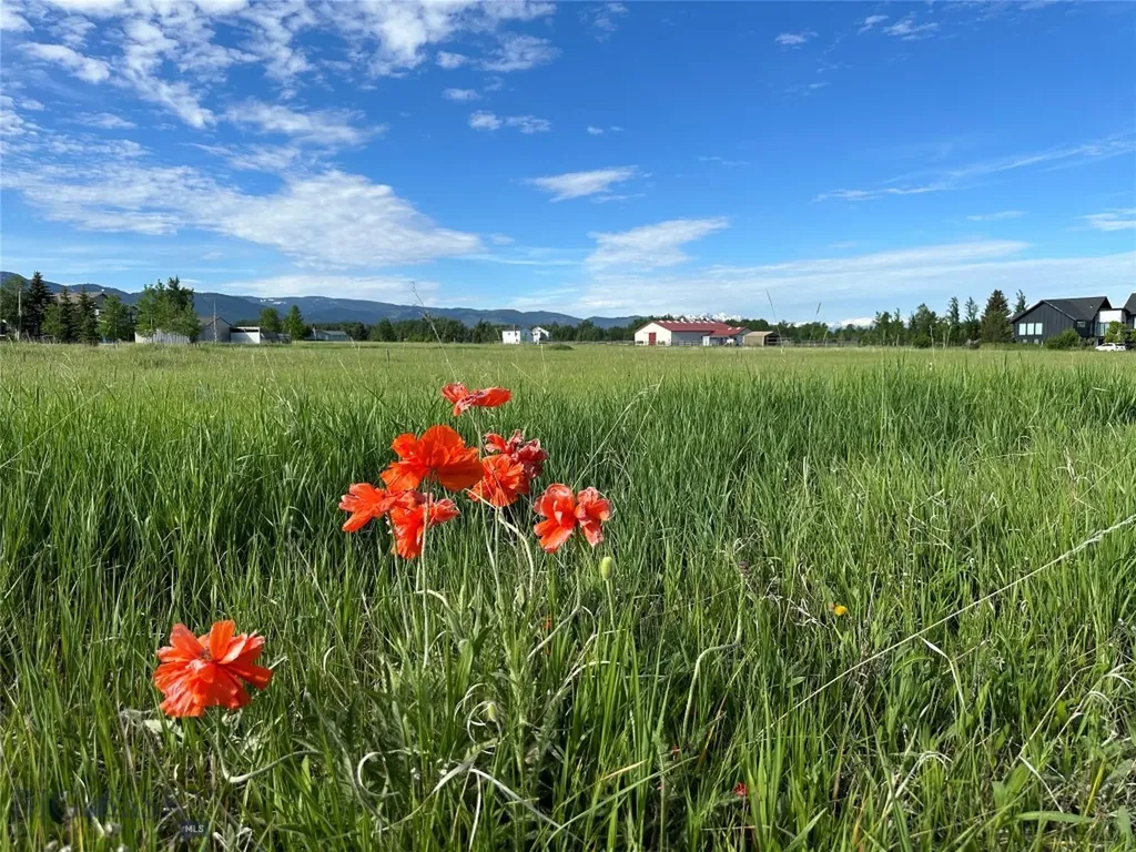 31 Cayuse Trail Bozeman MT 59718