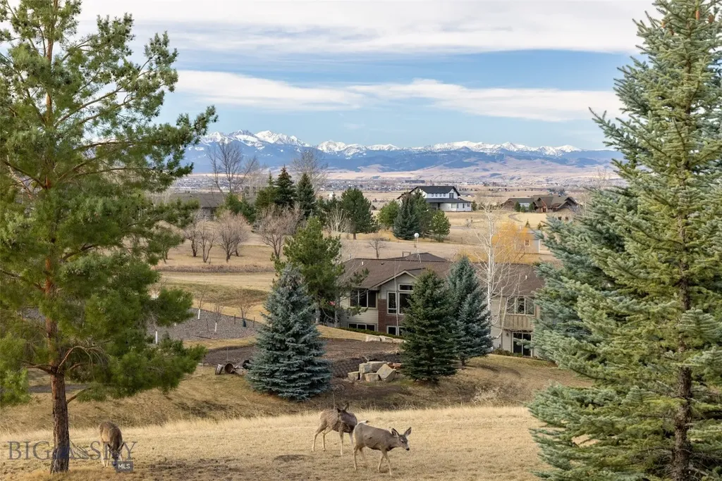 375 Summer Ridge Road Bozeman MT 59715