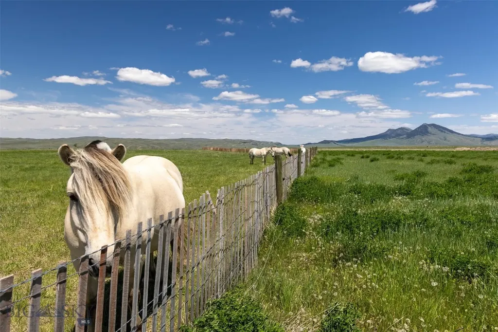 22 Porcupine Wilsall MT 59086