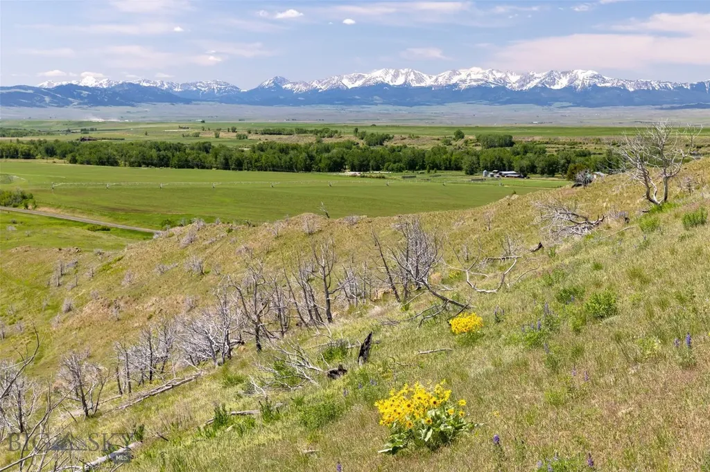 22 Porcupine Wilsall MT 59086