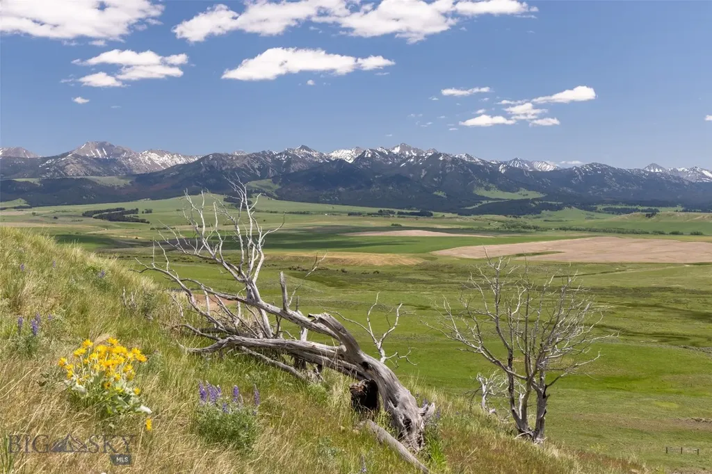 22 Porcupine Wilsall MT 59086