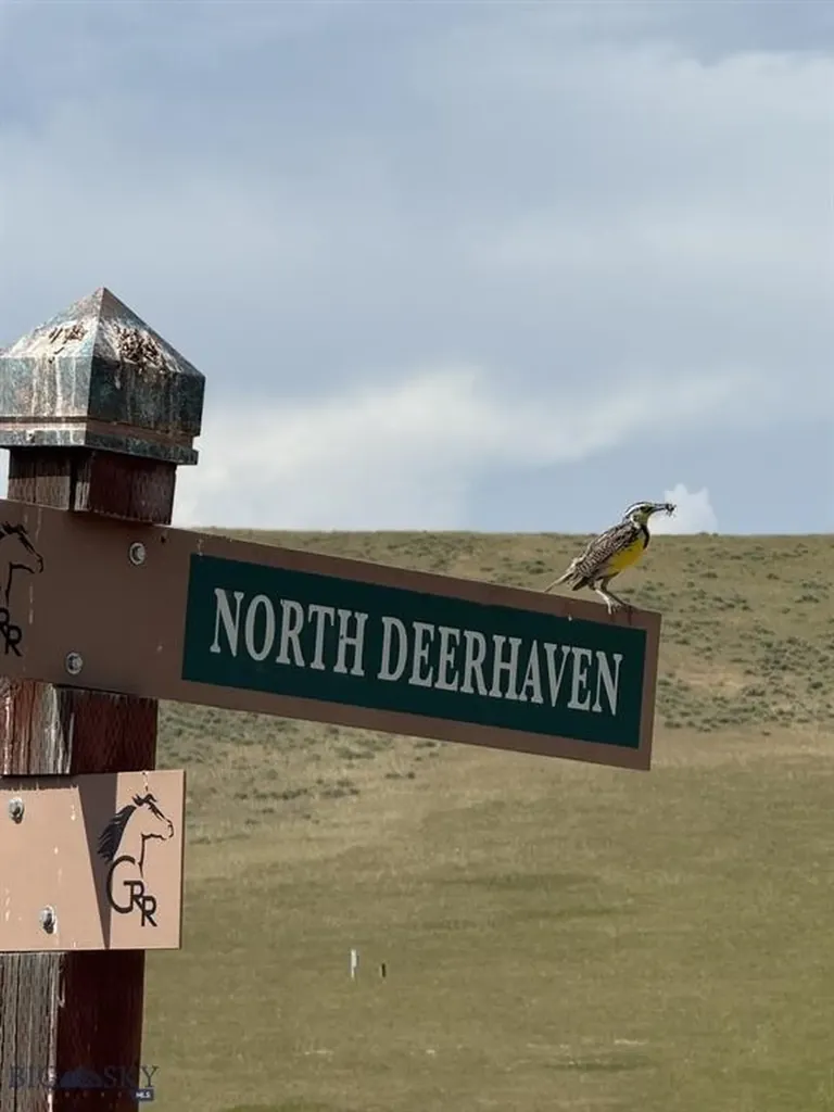 Lot 163 Deerhaven Manhattan MT 59741