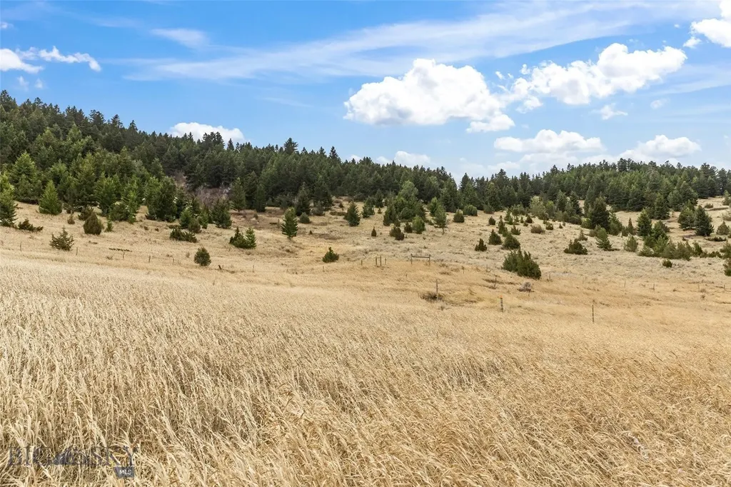Nhn (Parcel A-2) Suce Creek Road Livingston MT 59047