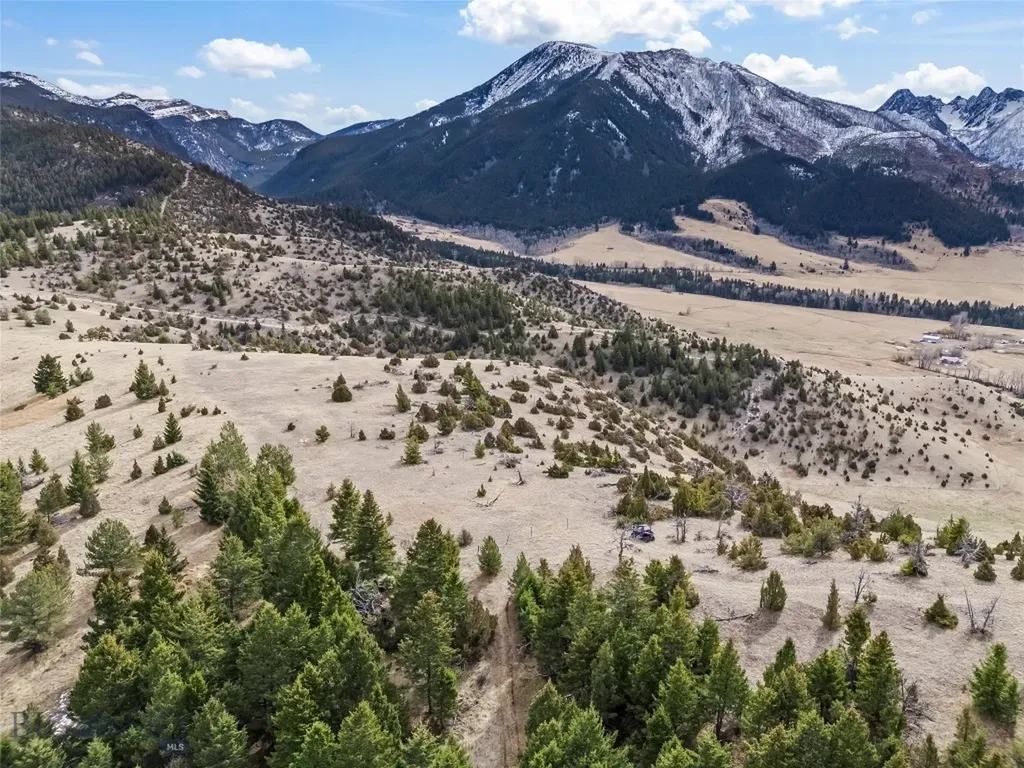 Nhn (Parcel A-2) Suce Creek Road Livingston MT 59047