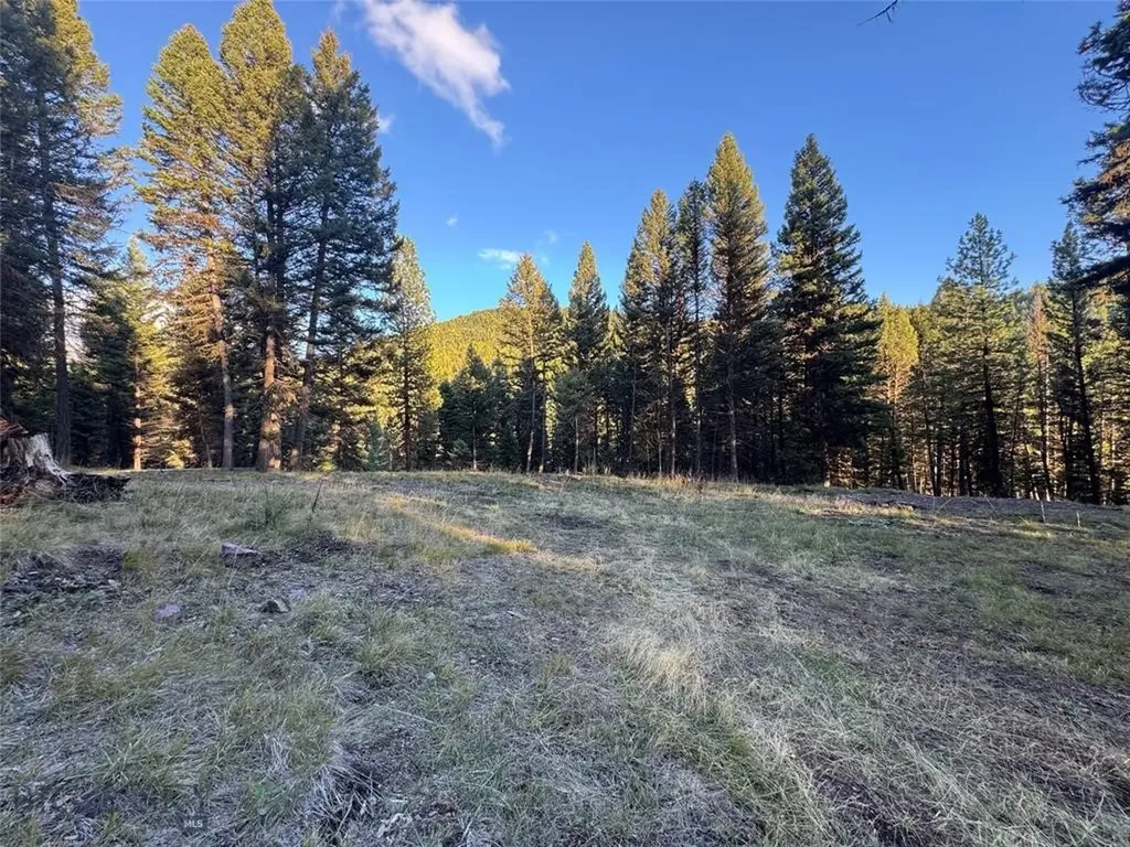 Seeley Lake MT 59868