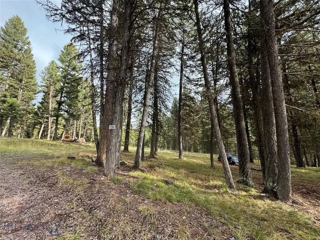 Seeley Lake MT 59868