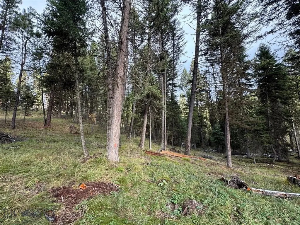 Seeley Lake MT 59868