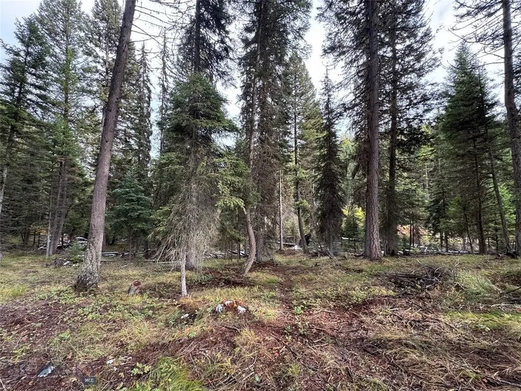 Seeley Lake MT 59868