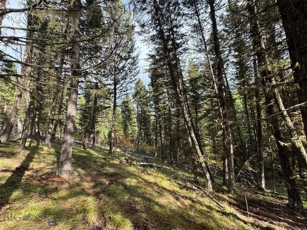 Seeley Lake MT 59868