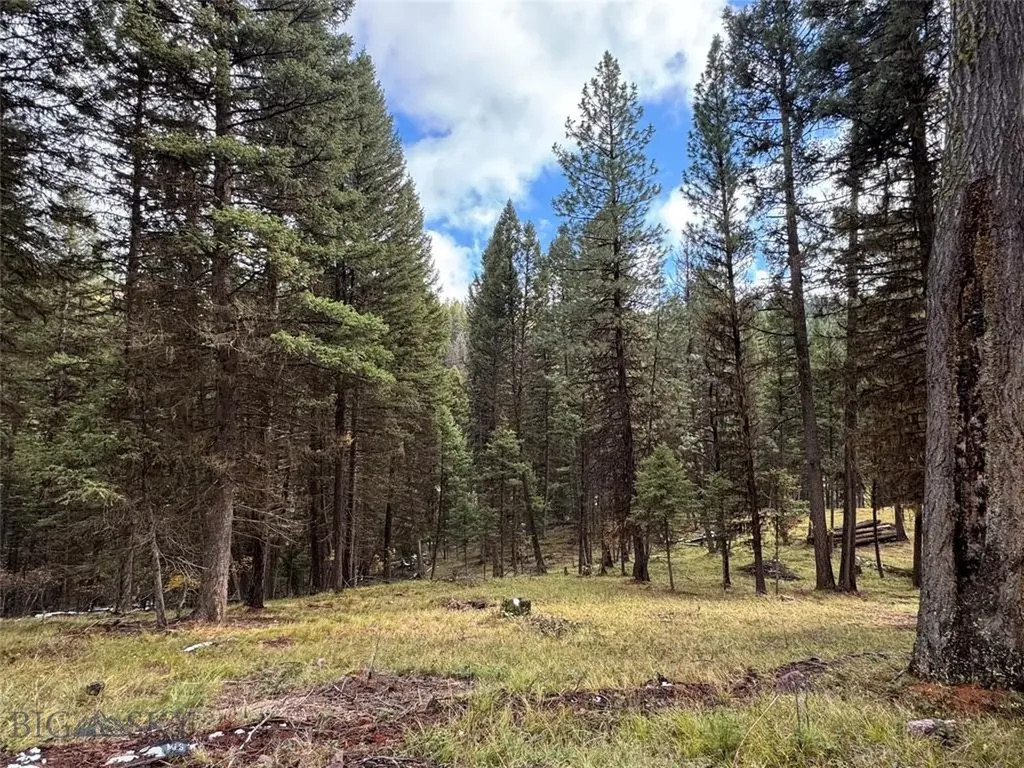 Seeley Lake MT 59868
