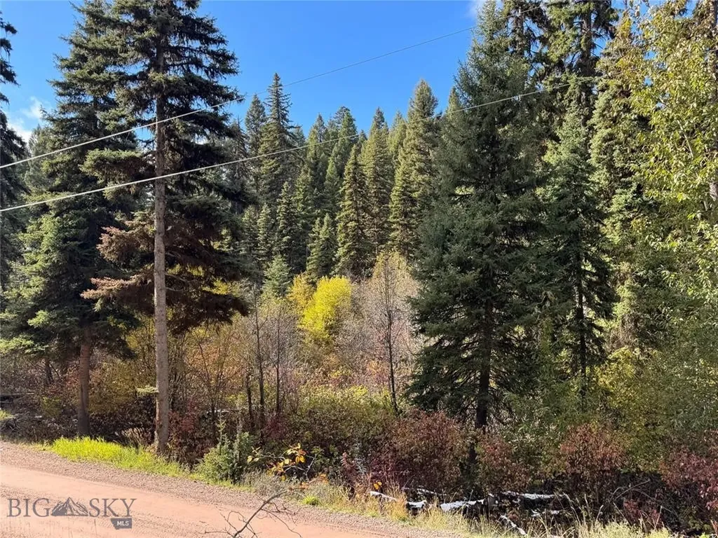 Seeley Lake MT 59868