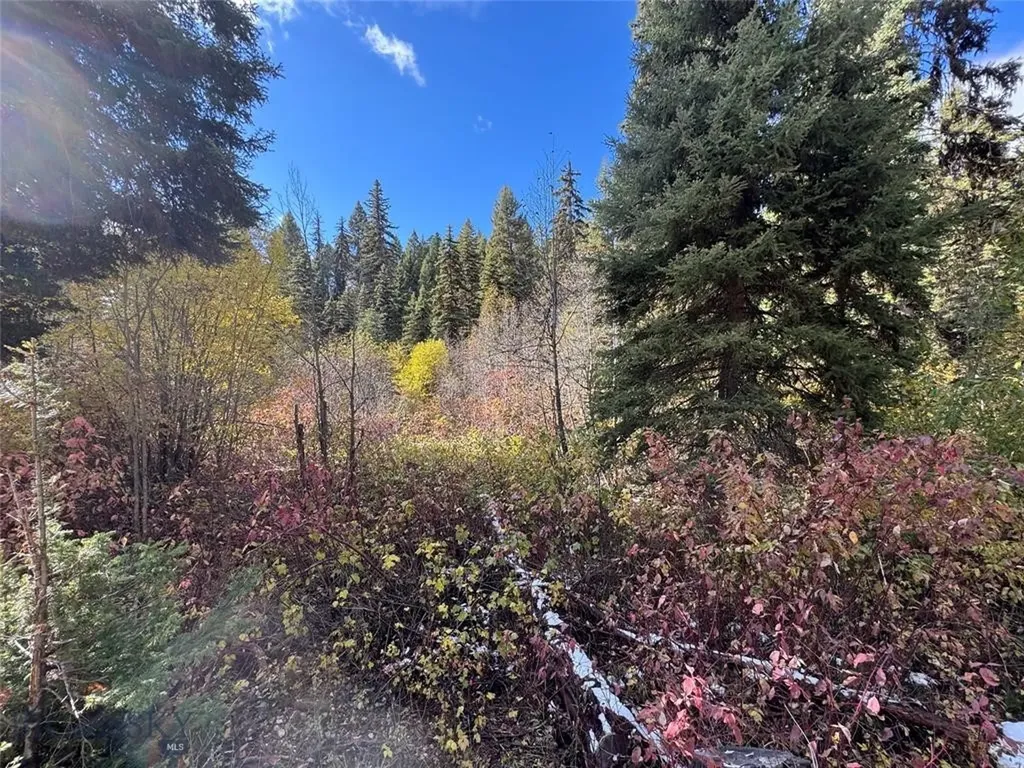 Seeley Lake MT 59868