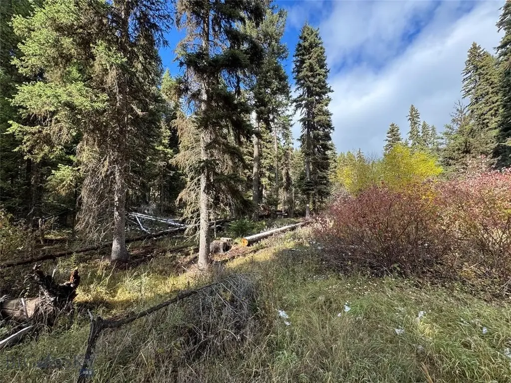 Seeley Lake MT 59868