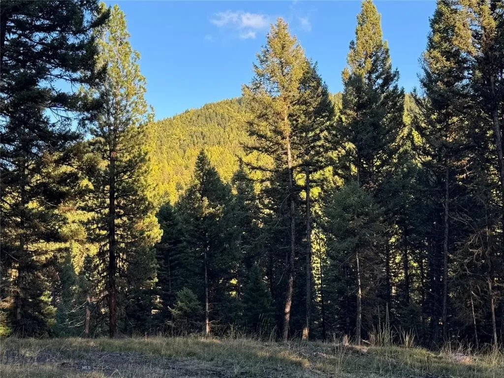 Seeley Lake MT 59868