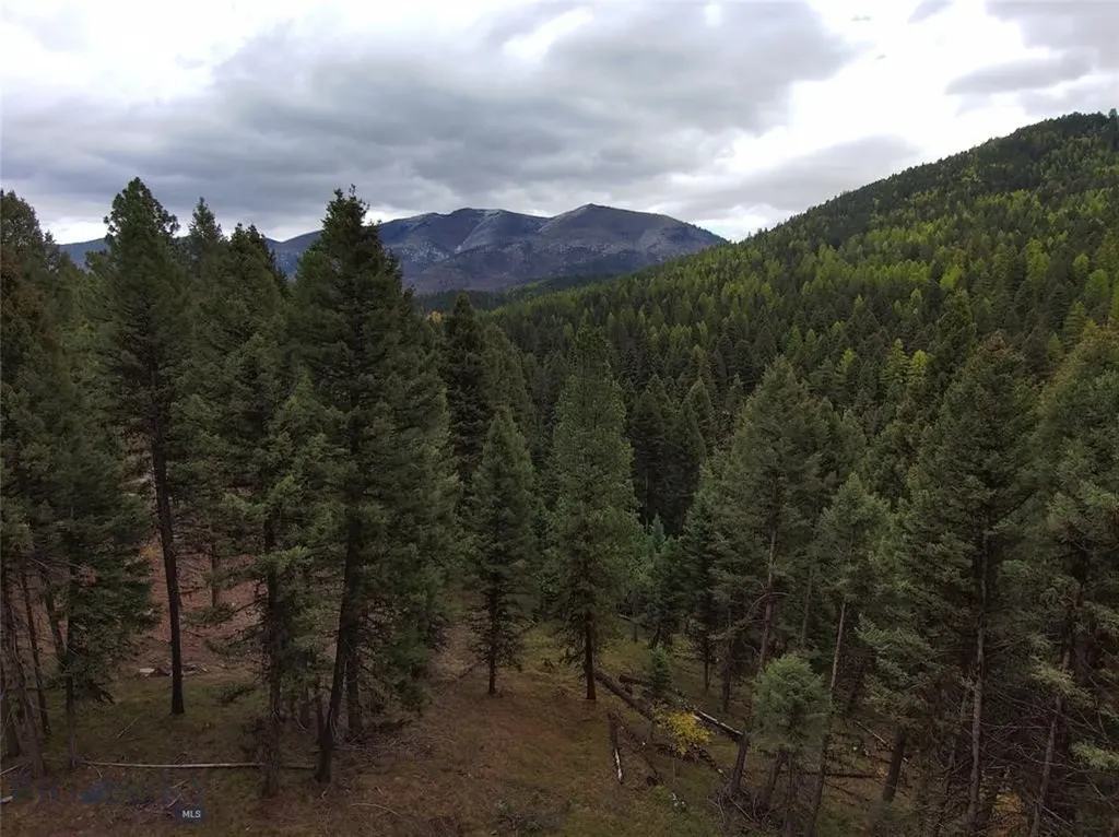 Seeley Lake MT 59868
