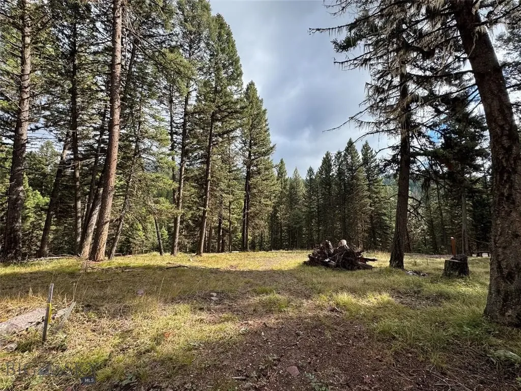 Seeley Lake MT 59868