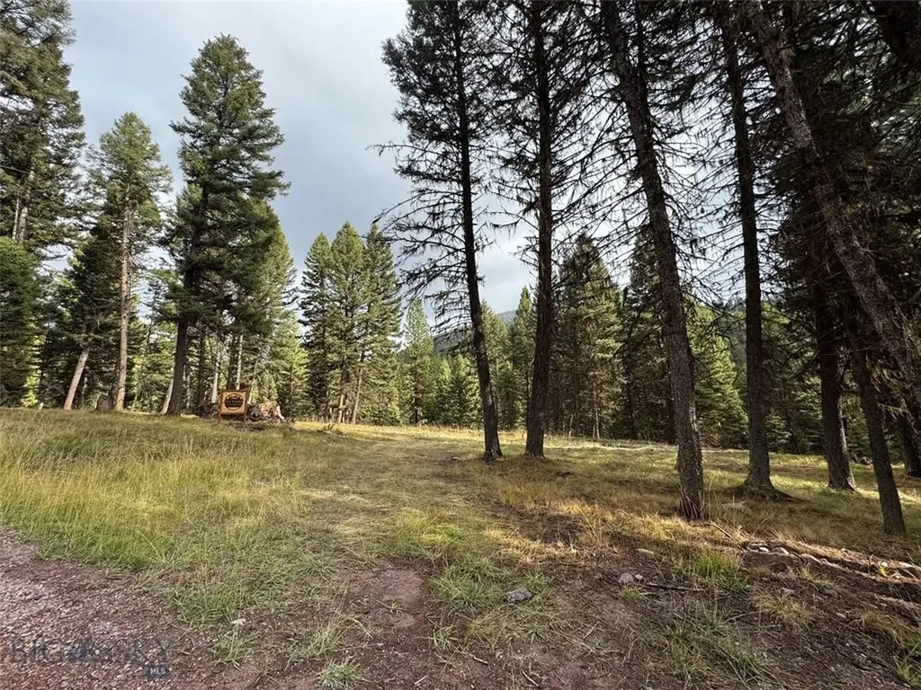 Seeley Lake MT 59868