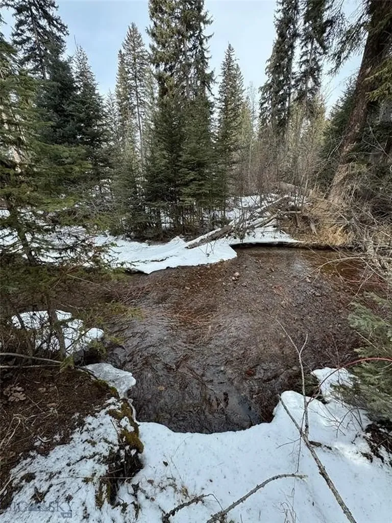 Seeley Lake MT 59868