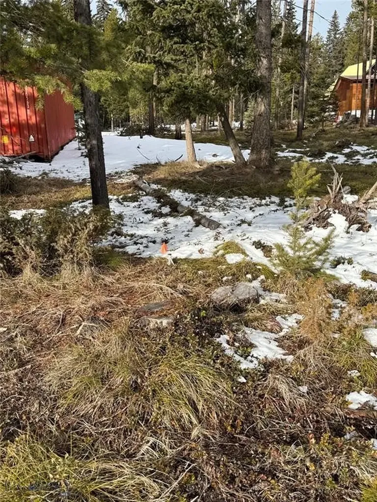 Seeley Lake MT 59868