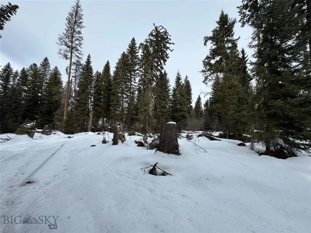 Seeley Lake MT 59868