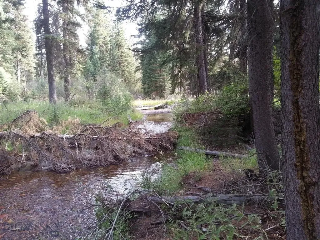 Seeley Lake MT 59868