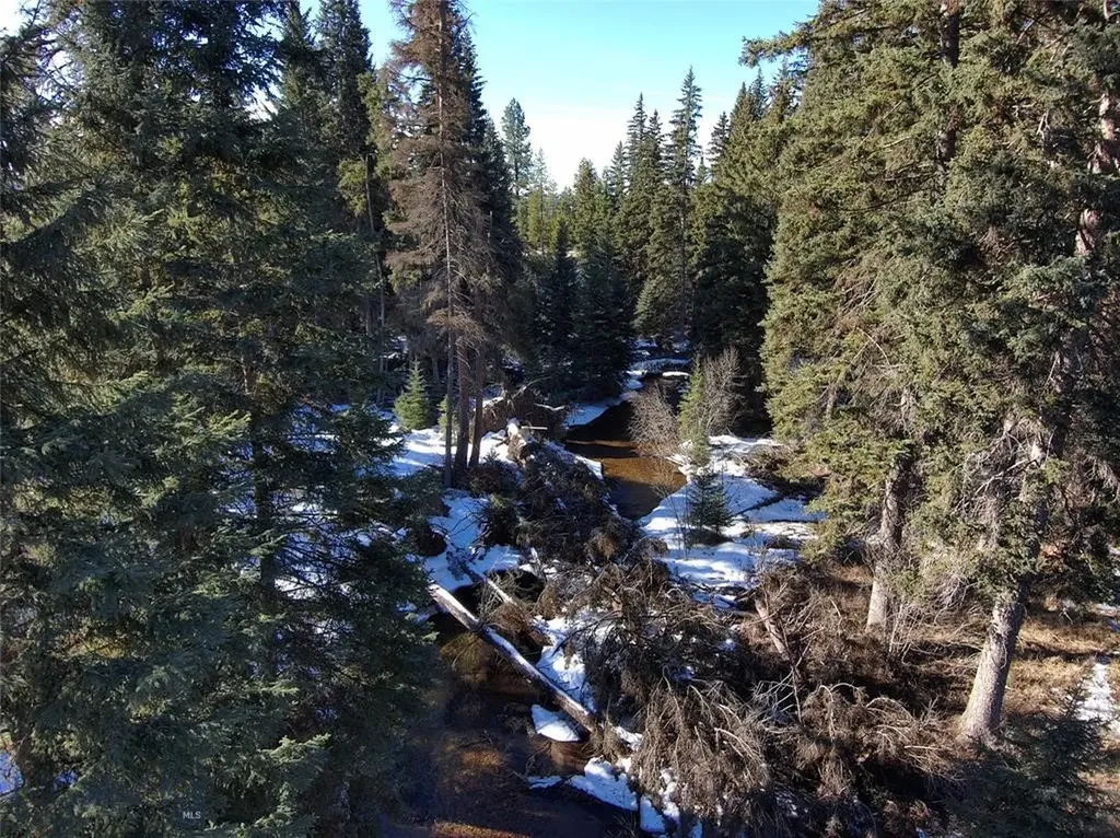 Seeley Lake MT 59868