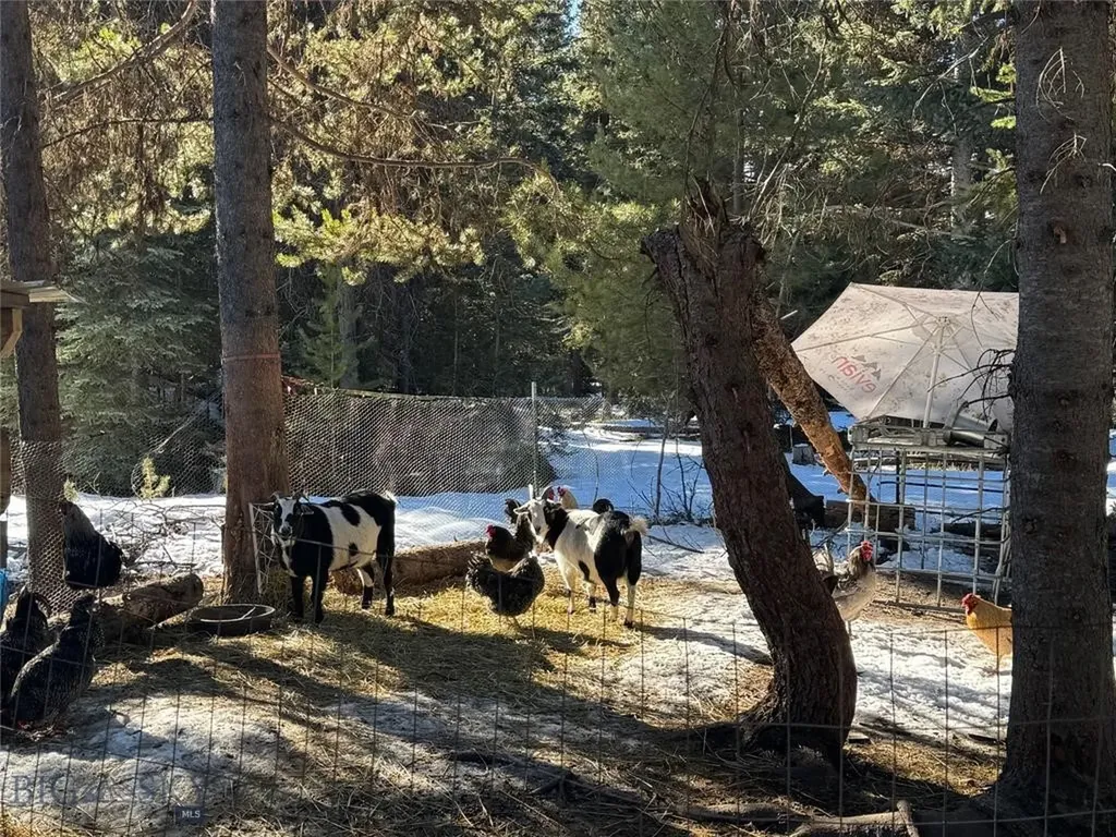Seeley Lake MT 59868