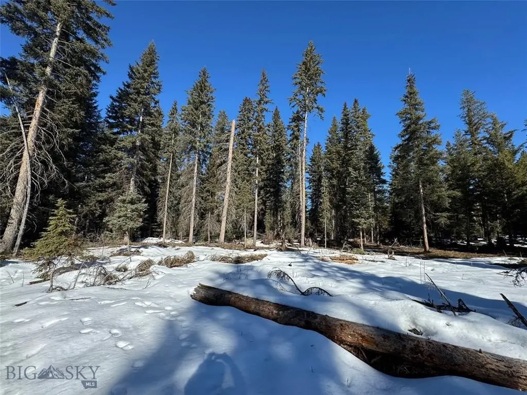 Seeley Lake MT 59868