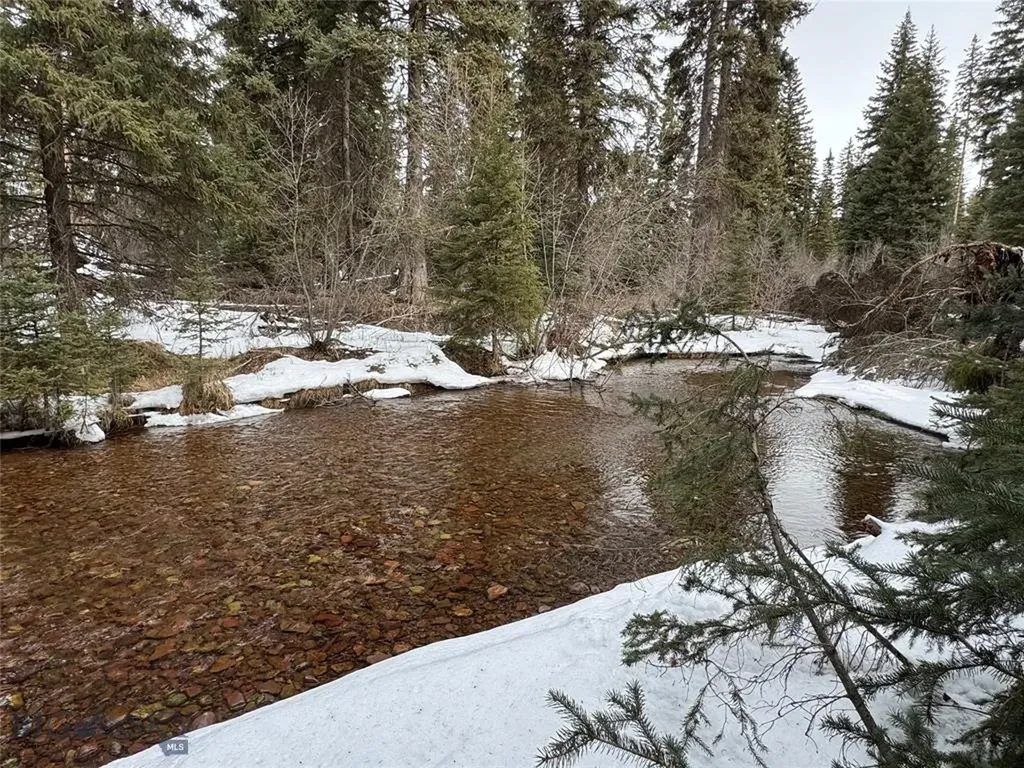 Seeley Lake MT 59868