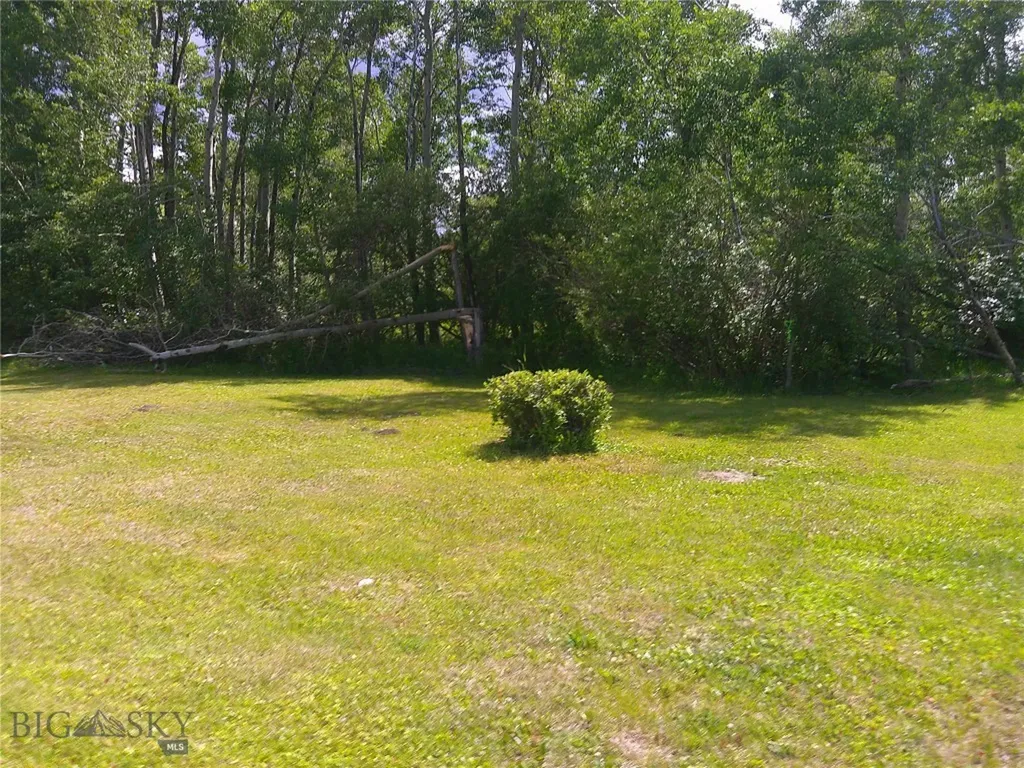 10717 Mt Highway 1 West Anaconda MT 59711