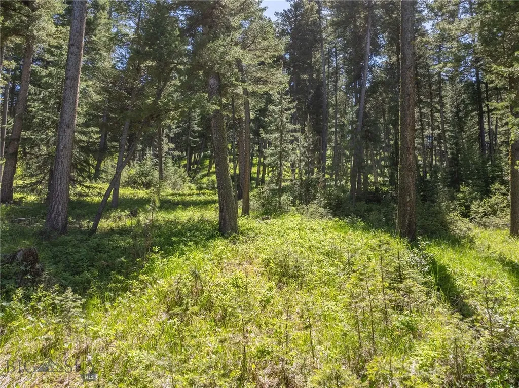 709 Limestone Road Bozeman MT 59715