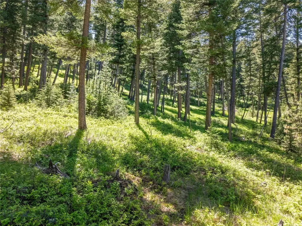 709 Limestone Road Bozeman MT 59715