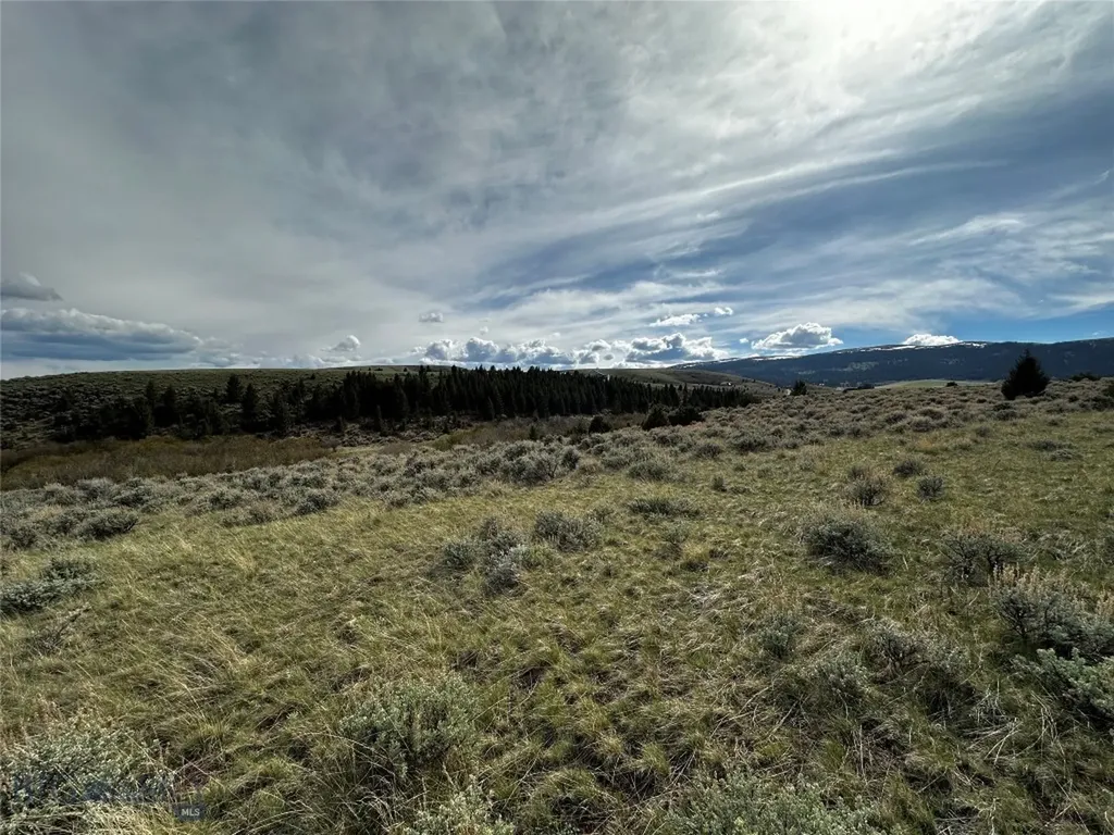 40 Mike Day Drive White Sulphur Springs MT 59645