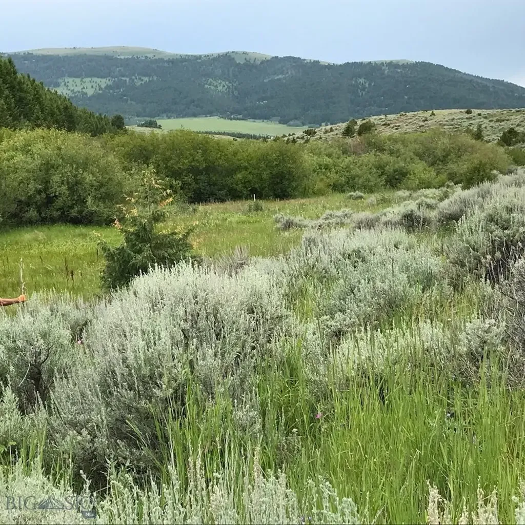 40 Mike Day Drive White Sulphur Springs MT 59645