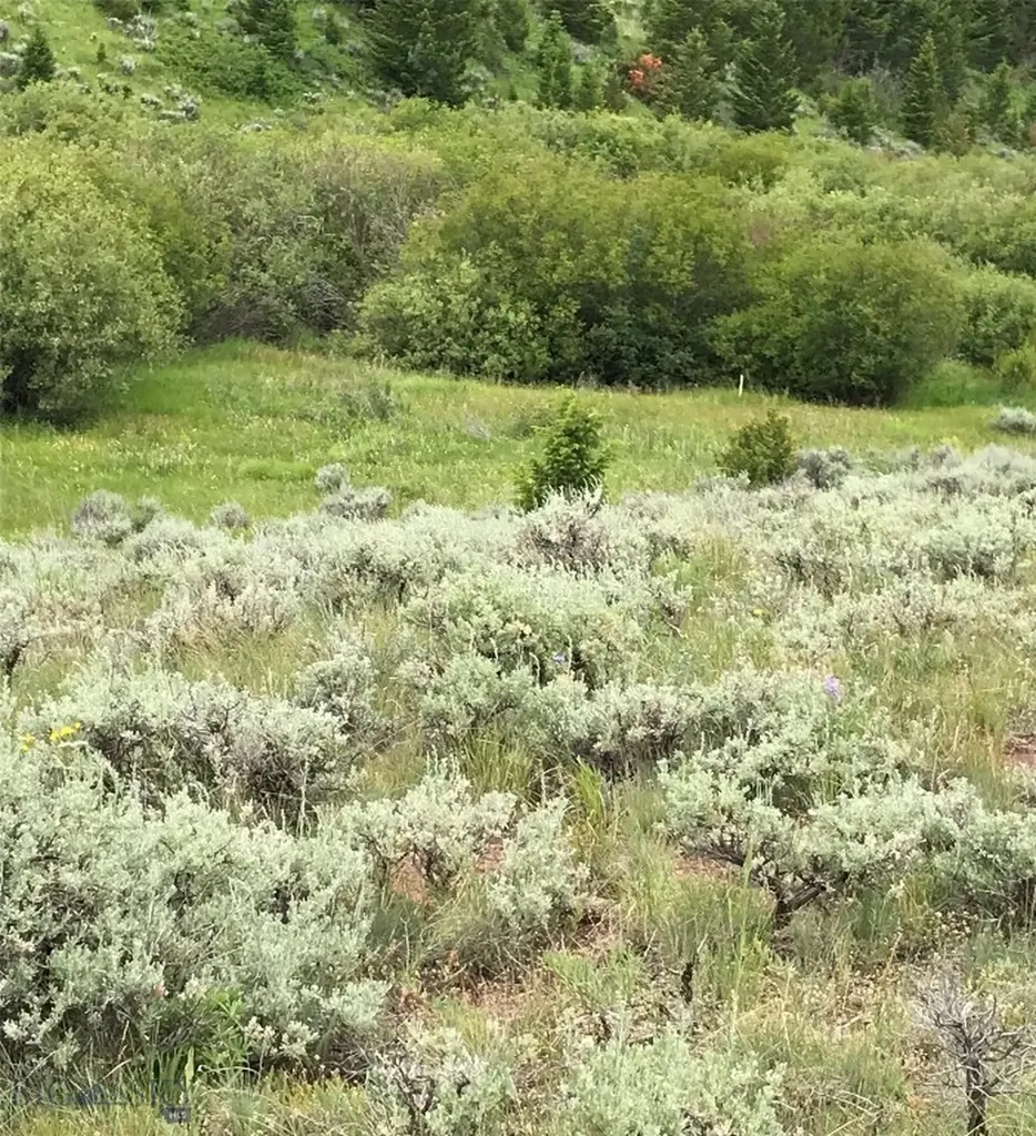 40 Mike Day Drive White Sulphur Springs MT 59645