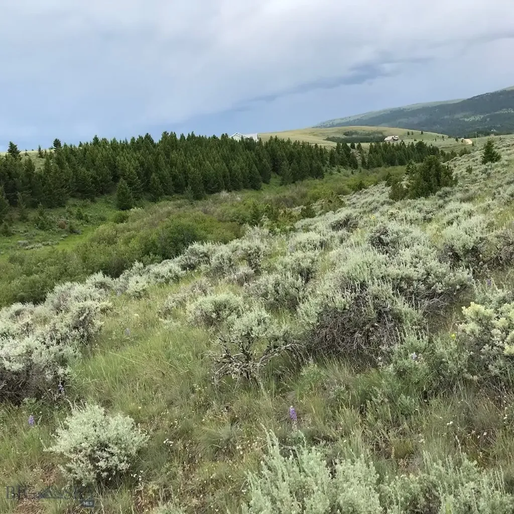 40 Mike Day Drive White Sulphur Springs MT 59645
