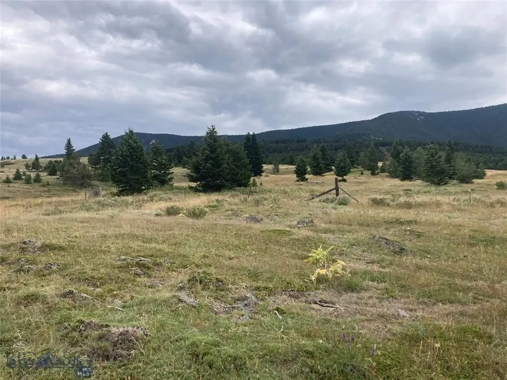86 Pony Lane Livingston MT 59047