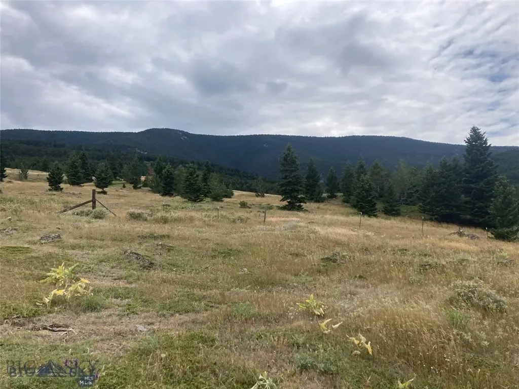 86 Pony Lane Livingston MT 59047