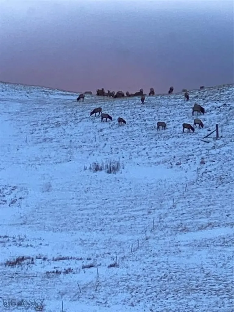86 Pony Lane Livingston MT 59047