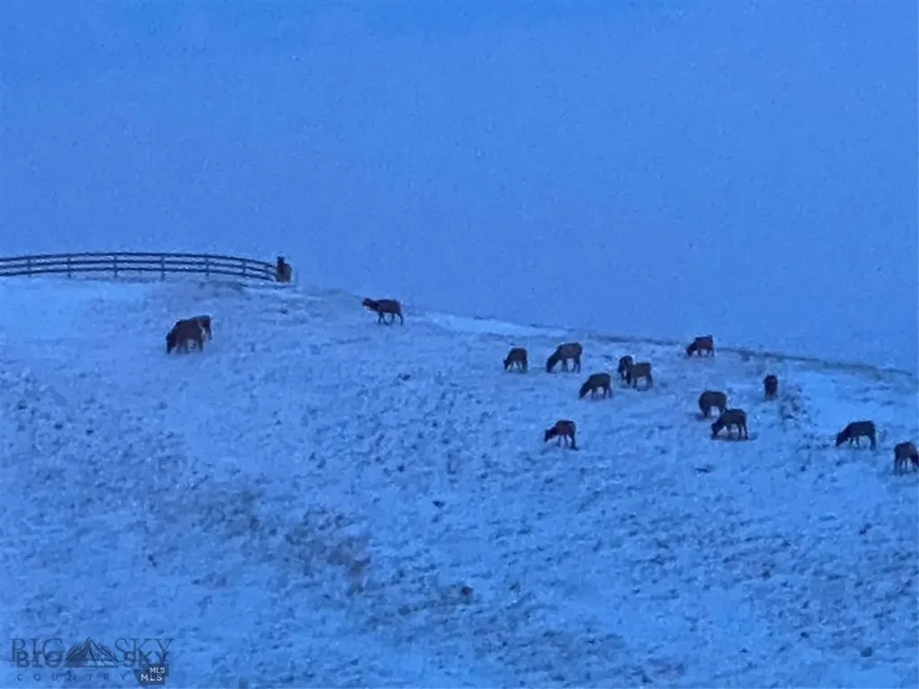 86 Pony Lane Livingston MT 59047