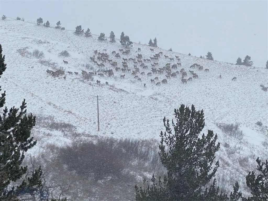 86 Pony Lane Livingston MT 59047