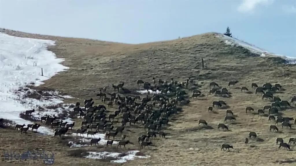 86 Pony Lane Livingston MT 59047